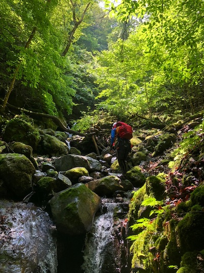 【沢登り】奥多摩・シダクラ沢へ！