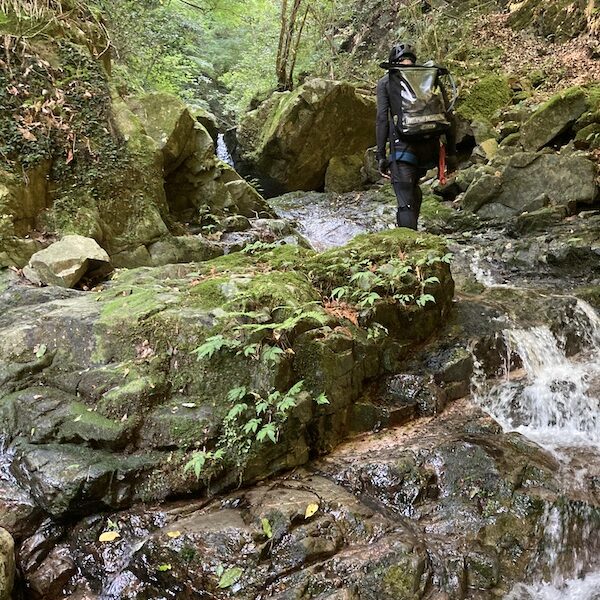 【沢登り】盆堀川 棡葉窪（ゆずりはくぼ）！