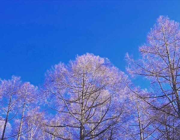 【八ヶ岳】快晴の硫黄岳へ！！