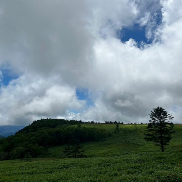 美ヶ原高原をのんびりとハイキング