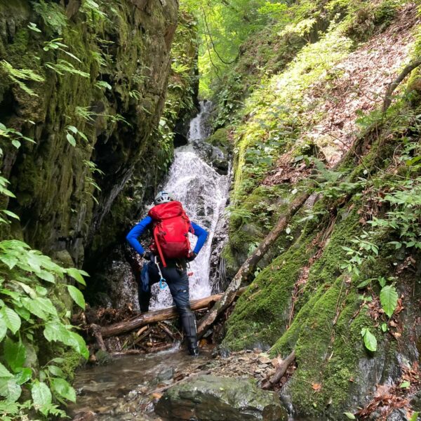 【沢登り】2023年沢初め！    小坂志川支流-湯場ノ沢-  