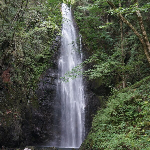 ＜奥多摩トレッキングツアー＞川苔山・百尋ノ滝