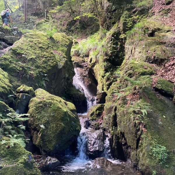 棒ノ折山から岩茸石山へ！