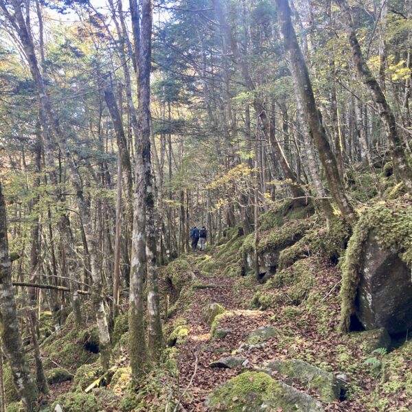 沢登り、北沢本谷途中まで！