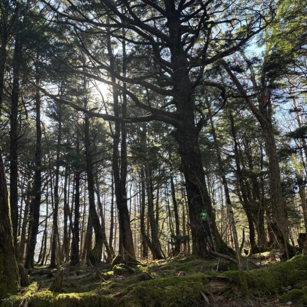 チームマウンガ、台風の中八ヶ岳へ！