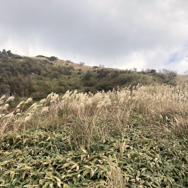 六甲、大文字、福知山！