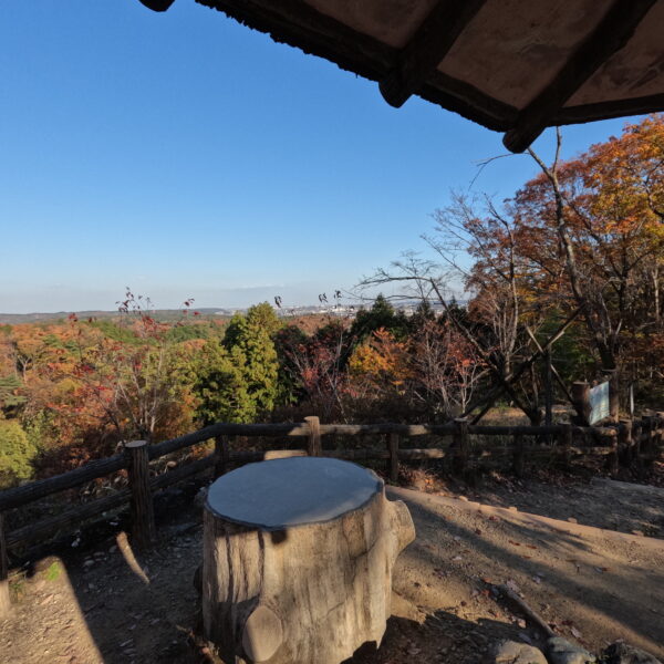 久しぶりの1歩！