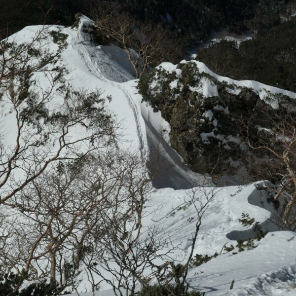 八ケ岳・石尊稜への旅～！