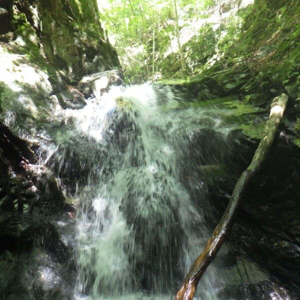 全店休業日のお知らせ