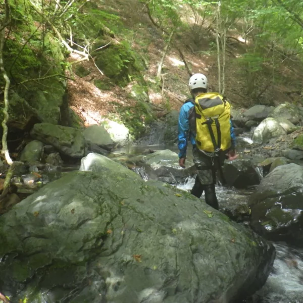 梅雨明け記念に、小常木谷へ！