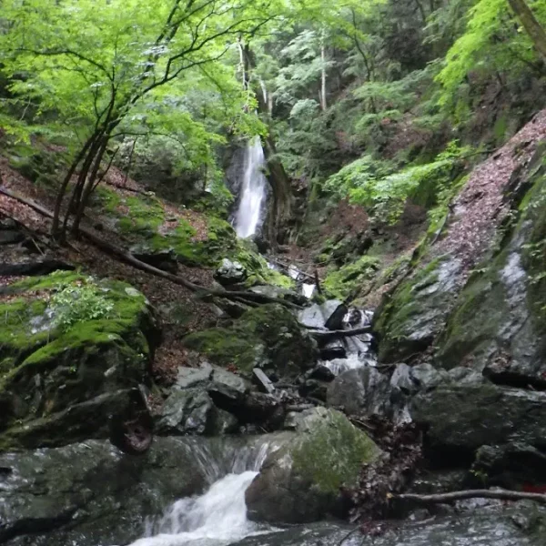 奥多摩、雨降川・長久保沢！