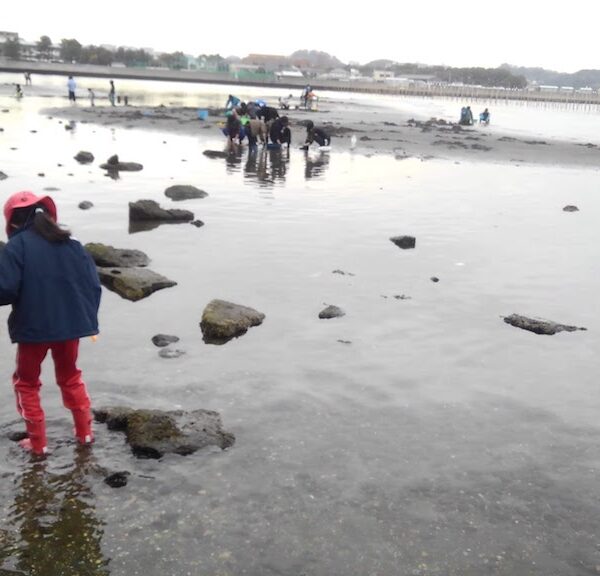 平潟湾で自然観察!