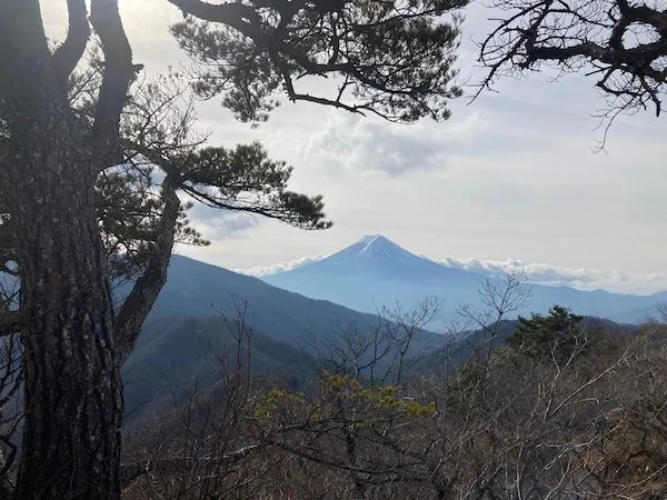 【秀麗富嶽12景】笹子駅~本社ヶ丸~清八山~三つ峠