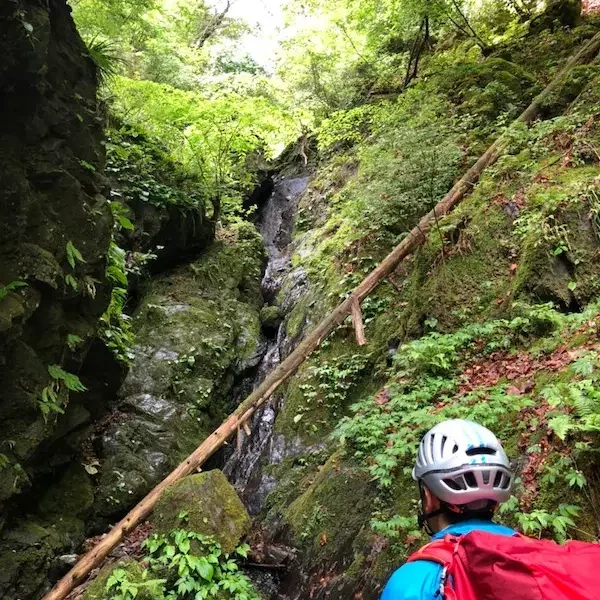【北秋川水系】シンナソー遡行！