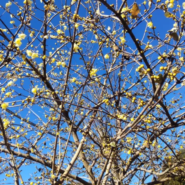 登山ガイド資格認定！