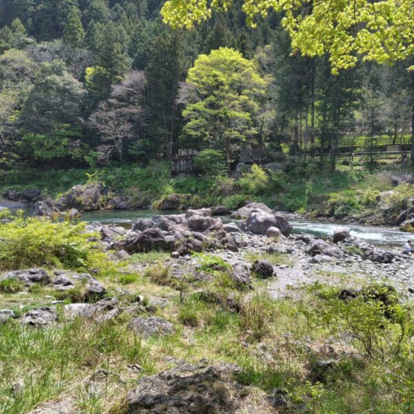 ≪Gear To Forest 2024≫