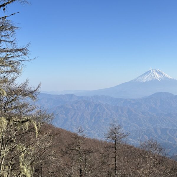 よむよむカラーミーに掲載されました！