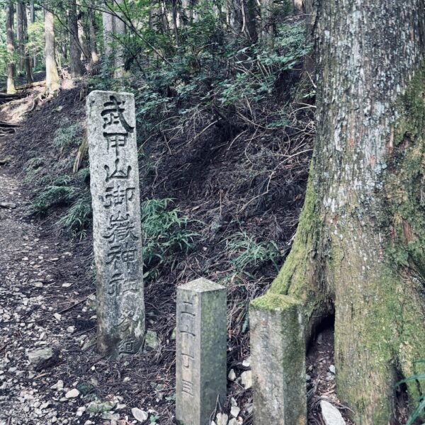 実は初めて武甲山