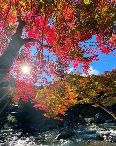 紅葉の御岳渓谷