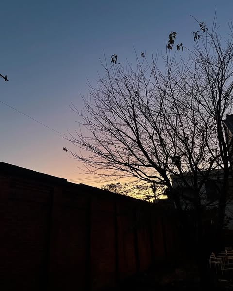 ミニシアターへ