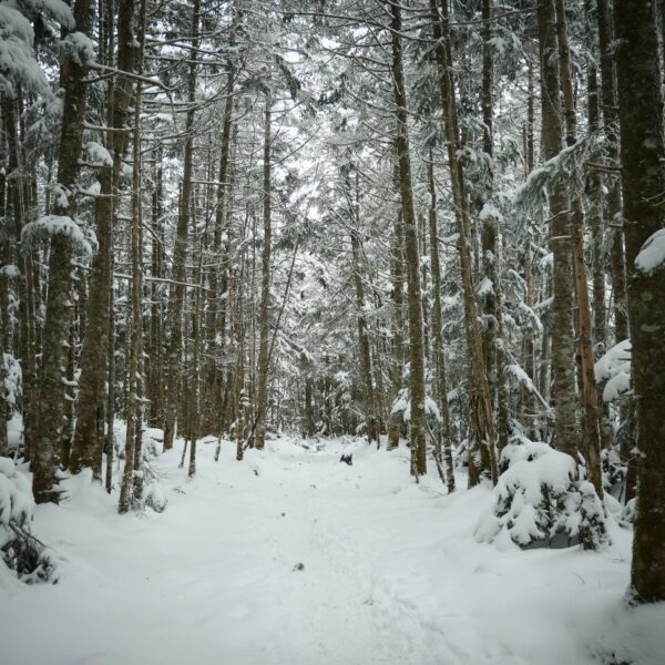 赤岳南峰リッジで雪山シーズンイン！
