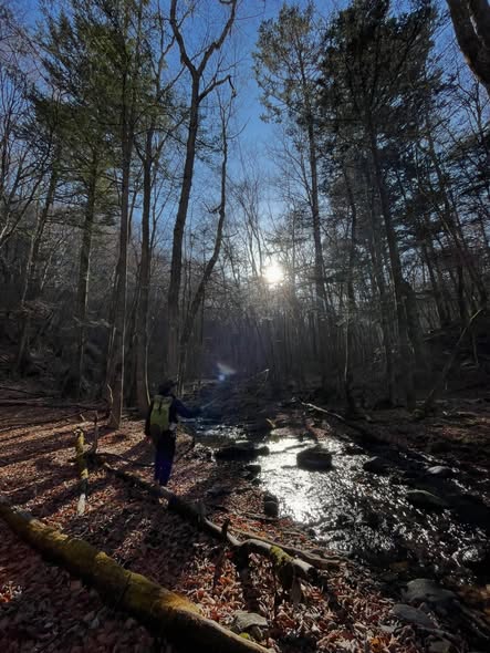 贅沢釣行とランチ